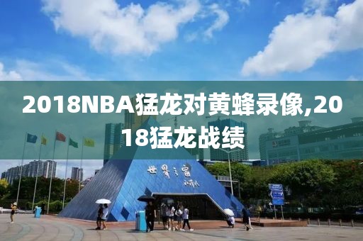 2018NBA猛龙对黄蜂录像,2018猛龙战绩