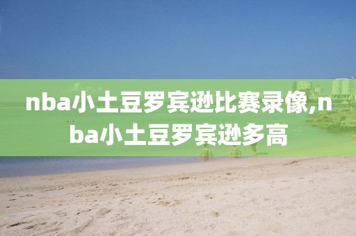 nba小土豆罗宾逊比赛录像,nba小土豆罗宾逊多高