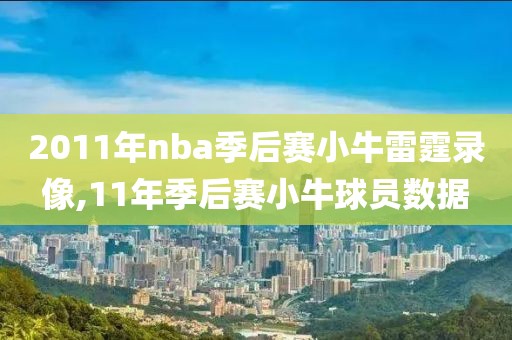 2011年nba季后赛小牛雷霆录像,11年季后赛小牛球员数据