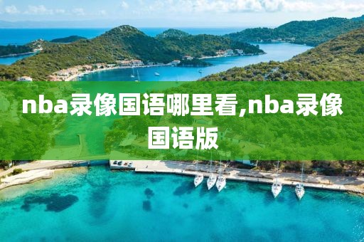 nba录像国语哪里看,nba录像国语版