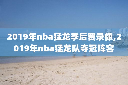 2019年nba猛龙季后赛录像,2019年nba猛龙队夺冠阵容