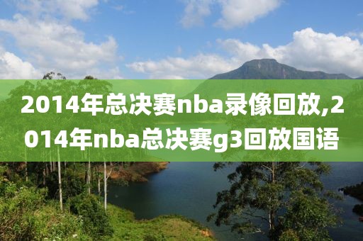 2014年总决赛nba录像回放,2014年nba总决赛g3回放国语
