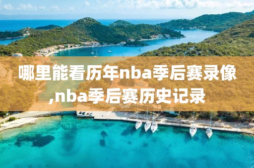 哪里能看历年nba季后赛录像,nba季后赛历史记录
