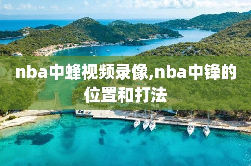 nba中蜂视频录像,nba中锋的位置和打法