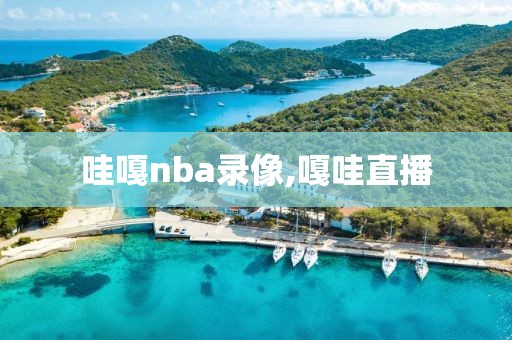 哇嘎nba录像,嘎哇直播