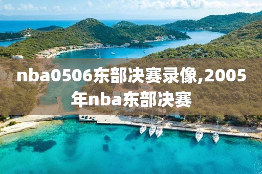 nba0506东部决赛录像,2005年nba东部决赛