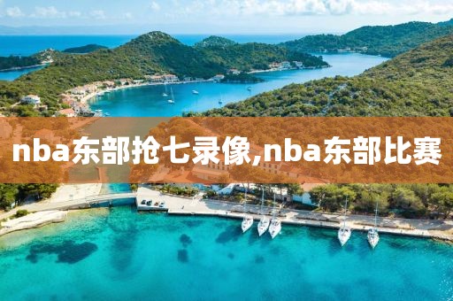 nba东部抢七录像,nba东部比赛