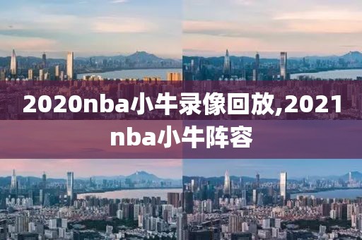 2020nba小牛录像回放,2021nba小牛阵容