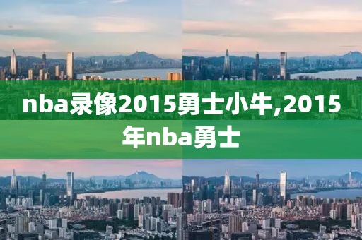 nba录像2015勇士小牛,2015年nba勇士
