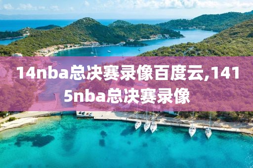 14nba总决赛录像百度云,1415nba总决赛录像
