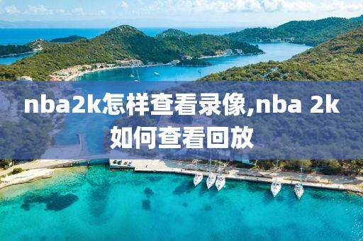 nba2k怎样查看录像,nba 2k如何查看回放