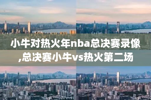 小牛对热火年nba总决赛录像,总决赛小牛vs热火第二场